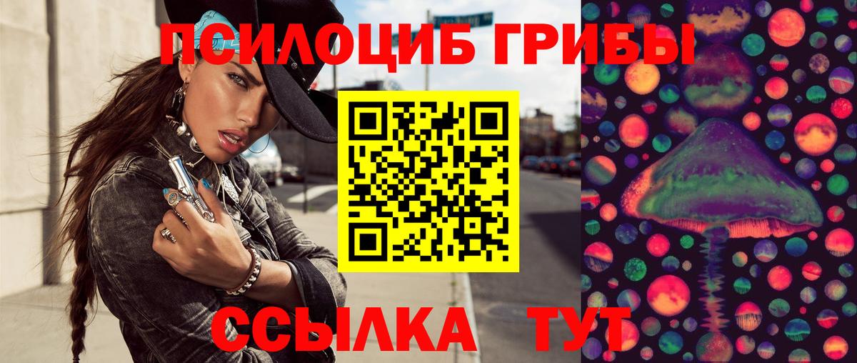 Лыткарино  Псилоцибиновые грибы мухоморы  Вход с VPN 